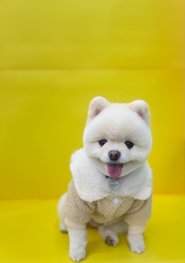 애경미용실 이미지