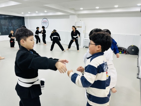 퍼팩트주짓수 이미지