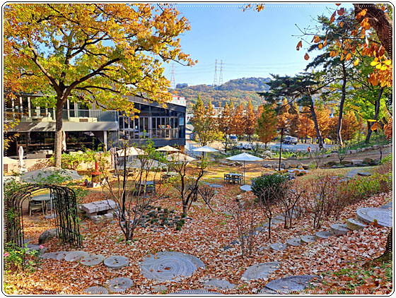 카페도토리 이미지