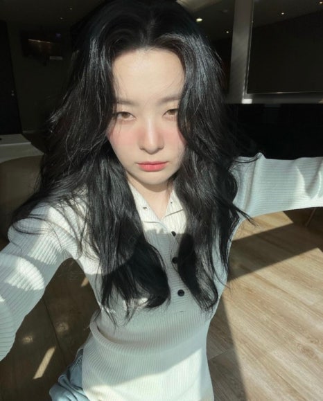 샵꽁뜨 이미지