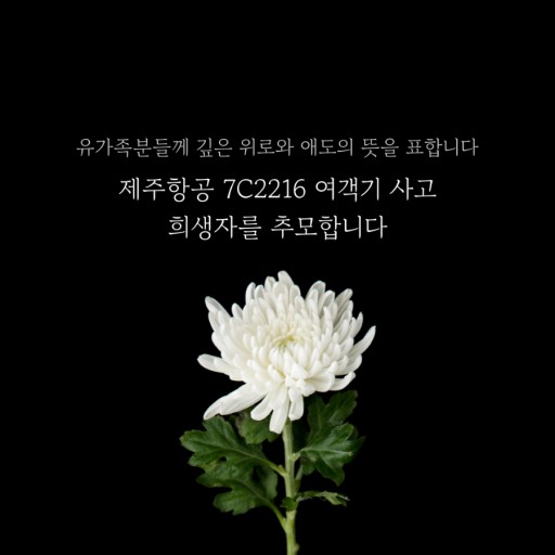틸로 이미지