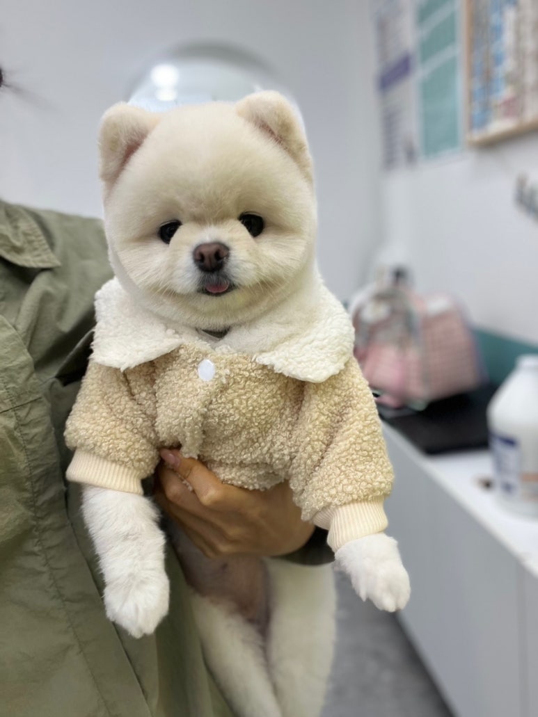 애경미용실 이미지
