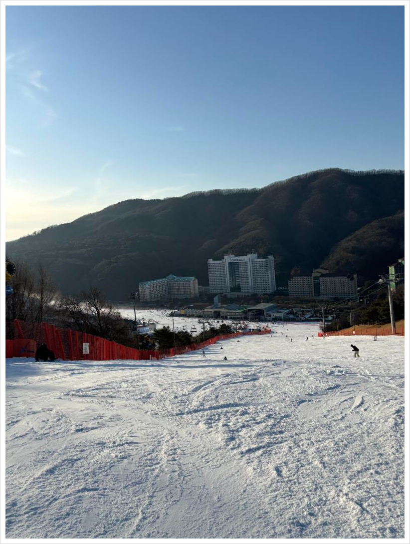 프리미엄렌탈샵 이미지