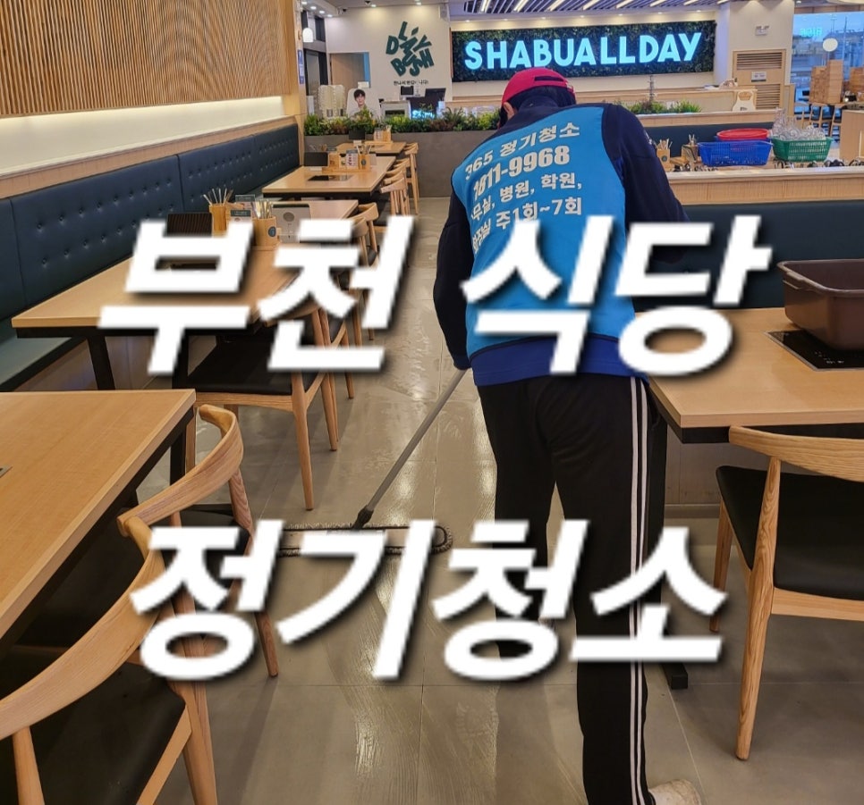 돌핀크린 이미지