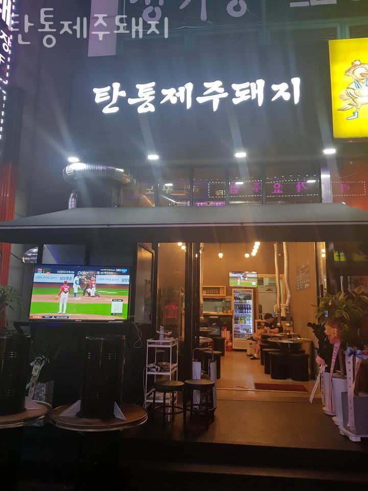 탄통제주돼지 이미지