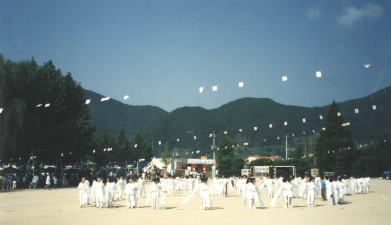영양중앙초등학교 이미지