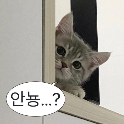 내칭구노래 이미지