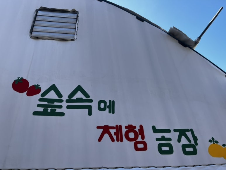 숲속에 딸기 이미지