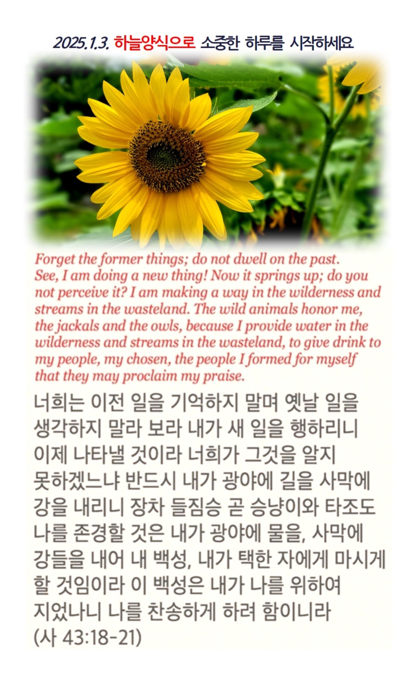 하늘과열매(주) 이미지