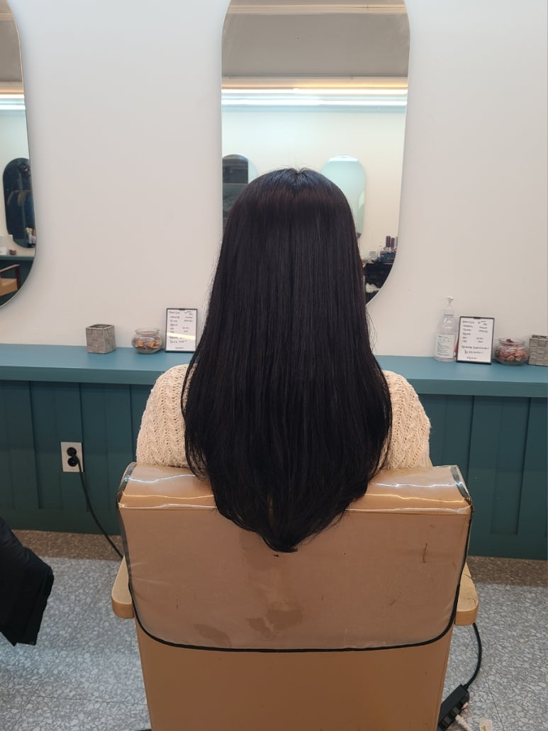 테드헤어 이미지