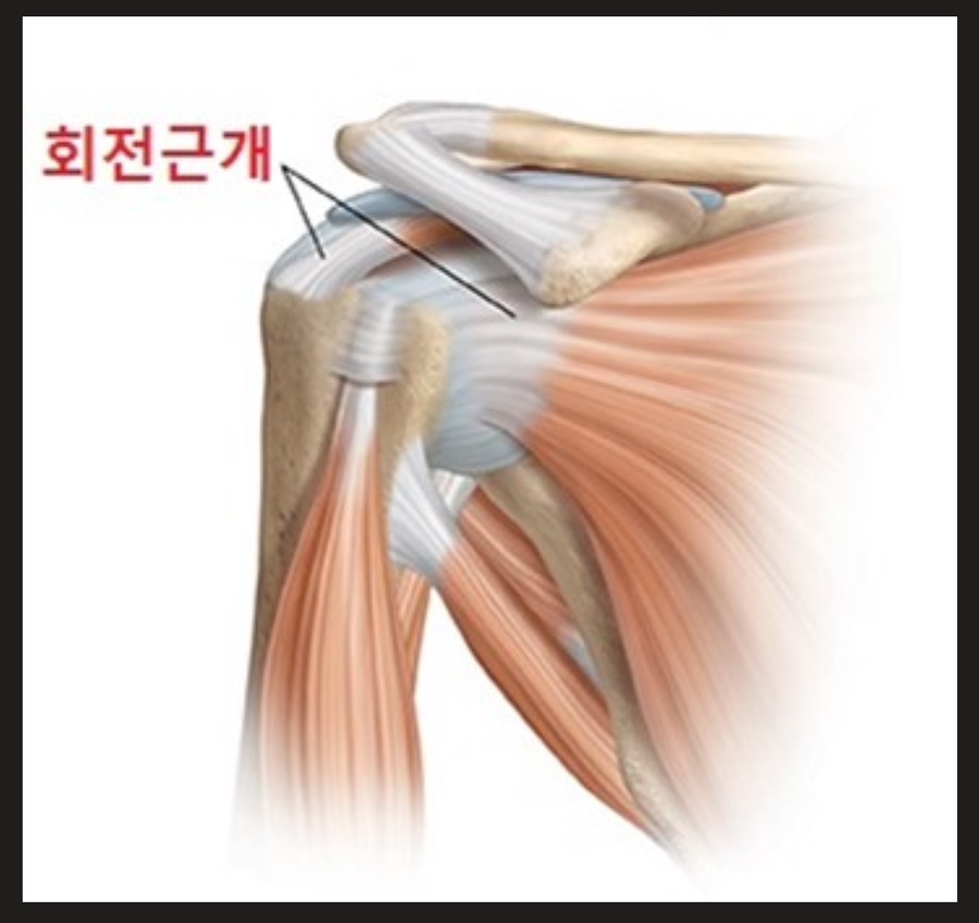 웨이트랩삼전역점 이미지