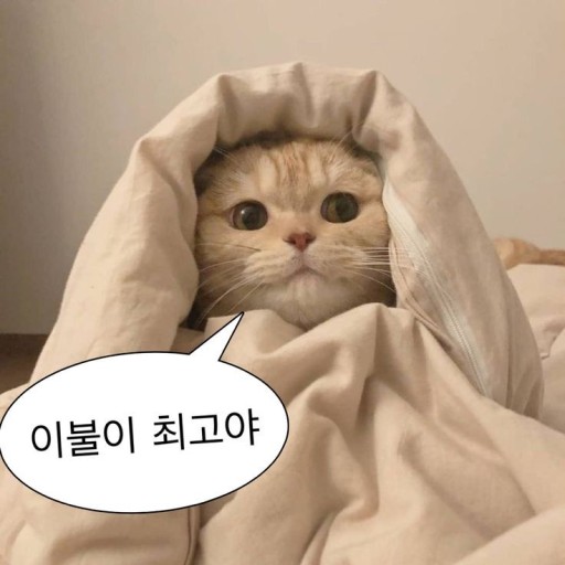 아꼼네일 이미지
