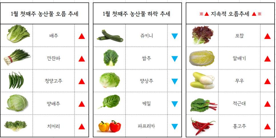 (주)청운유통 이미지