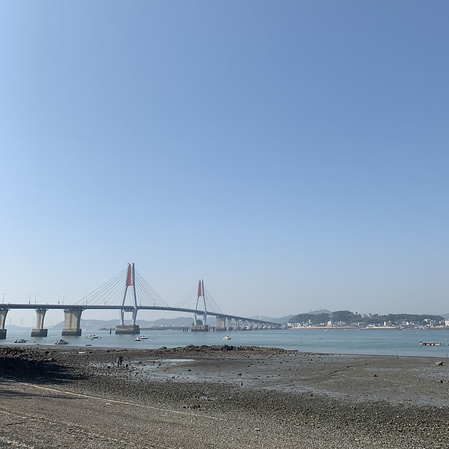 트리캠핑장 이미지