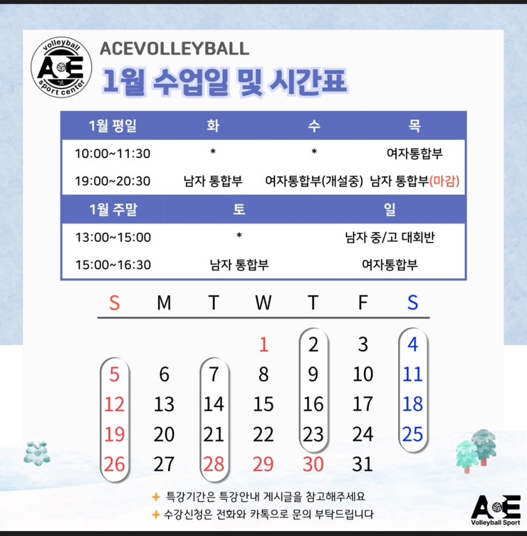 에이스발리볼스포츠센터 이미지