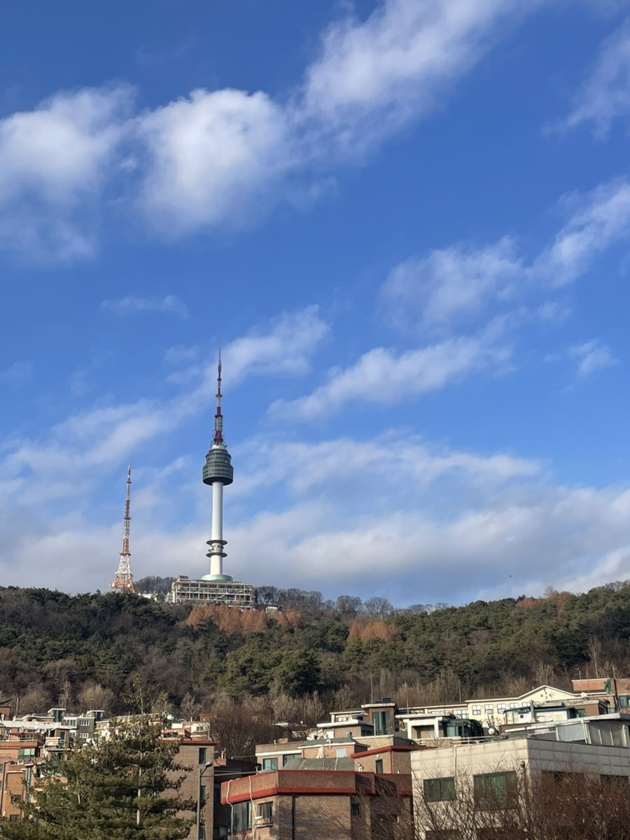 해피포피 이미지