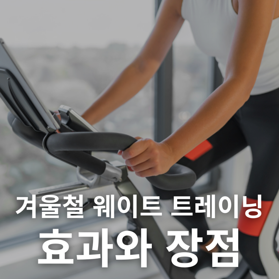 철트레이닝 이미지