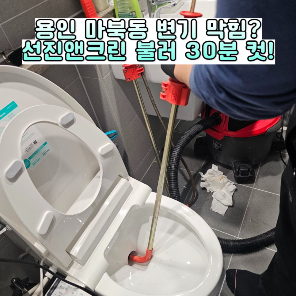 선진앤크린 이미지