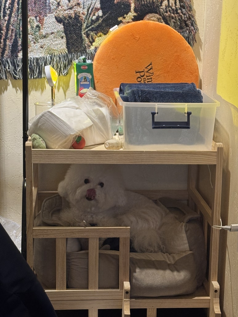 흥융양꼬치 이미지