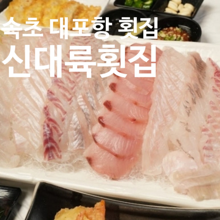 신대륙광고 이미지