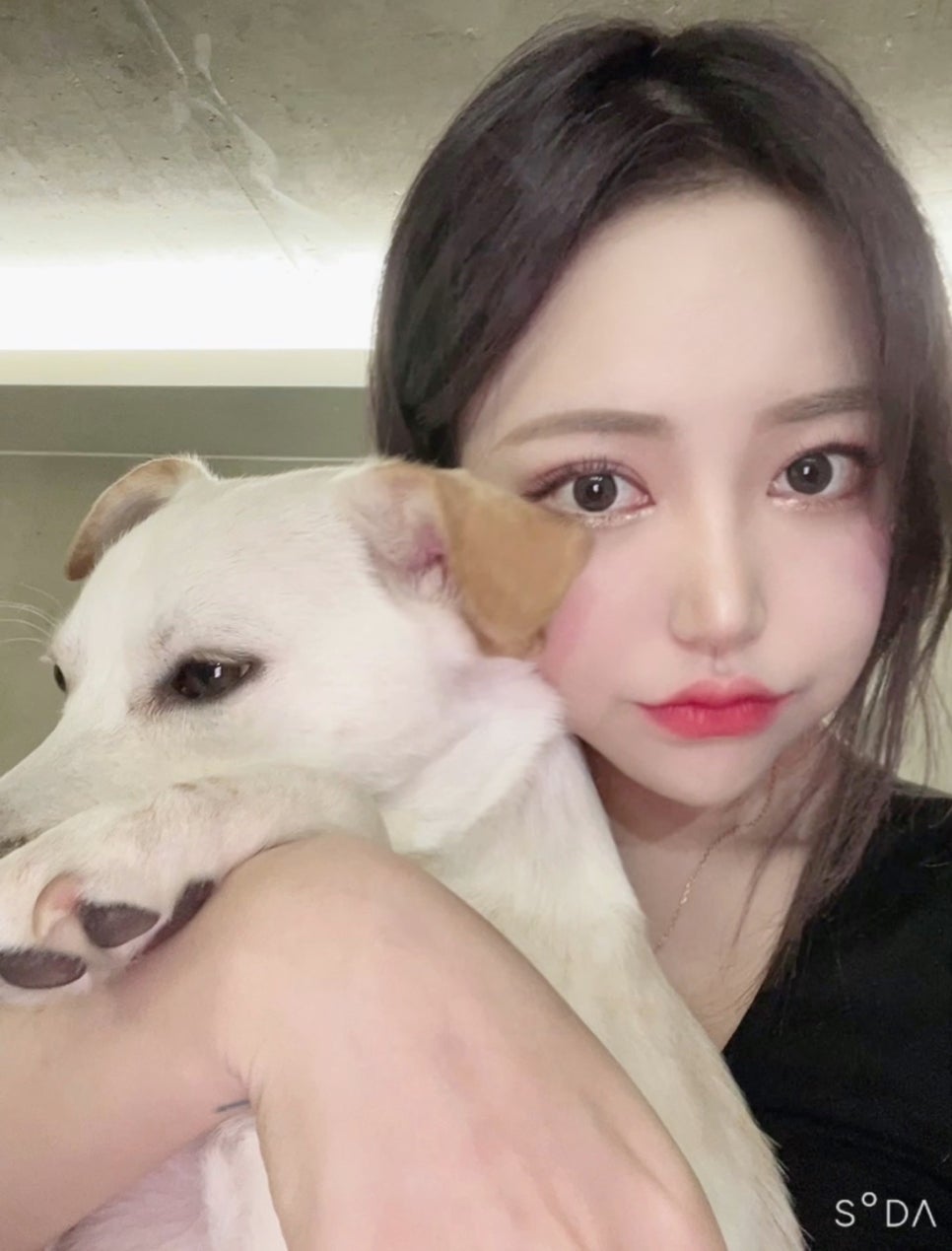 리트머스성형외과 이미지