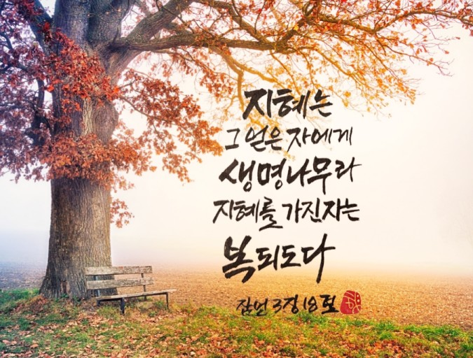 생명나무 이미지