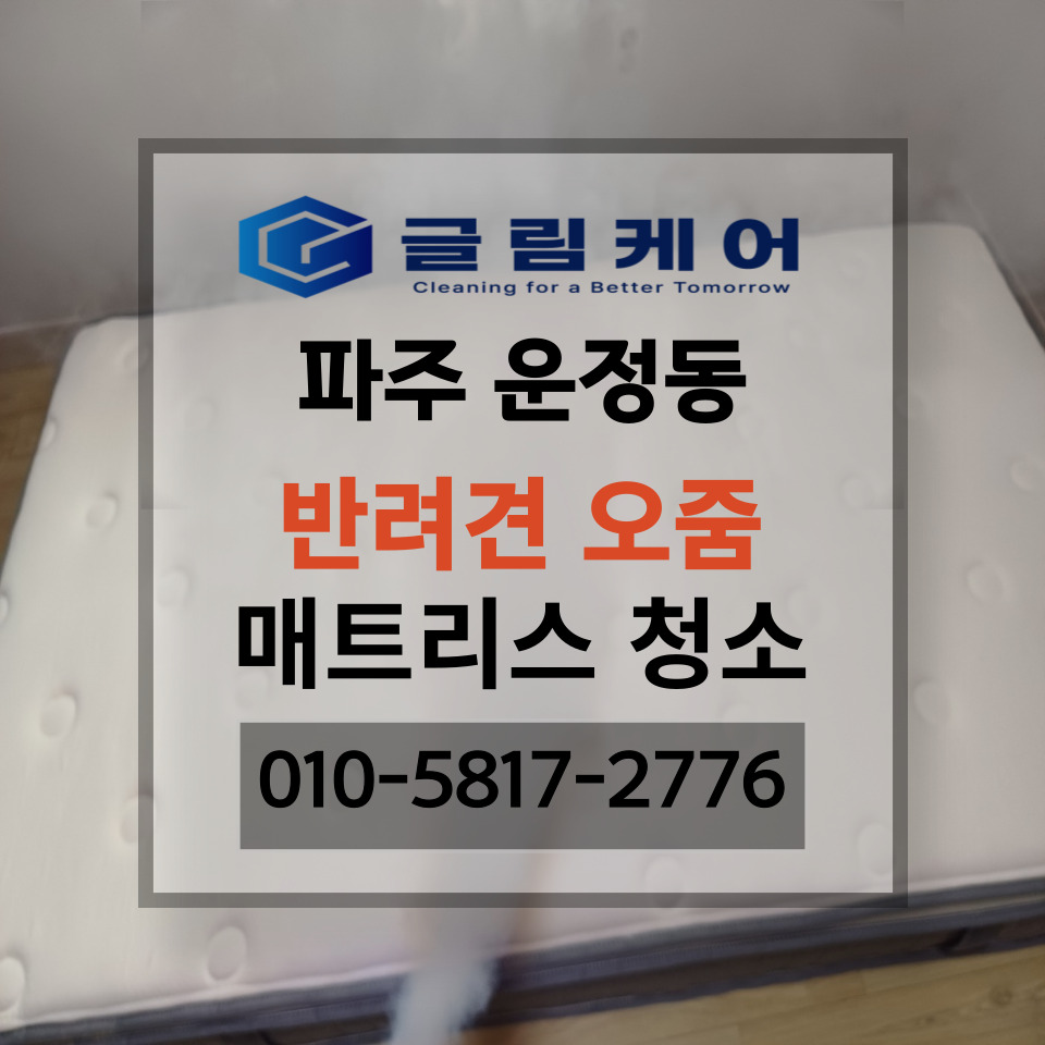 글림케어파주점 이미지