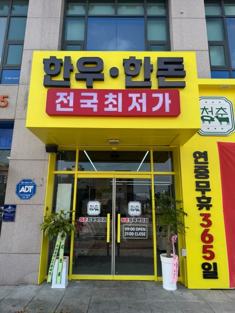 청춘정육점 이미지