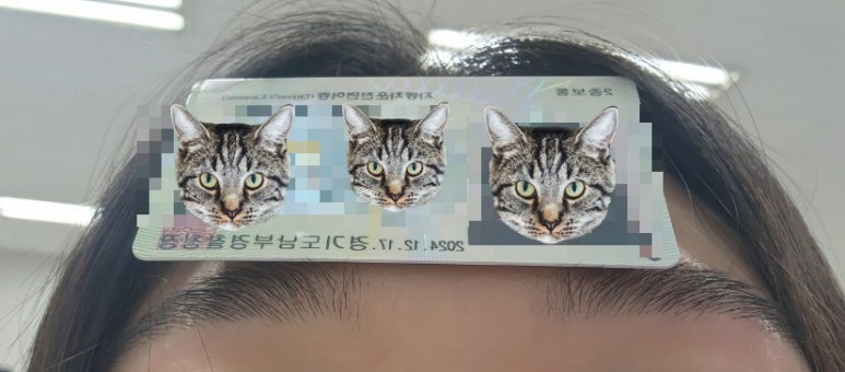 수원현대자동차운전전문학원 이미지