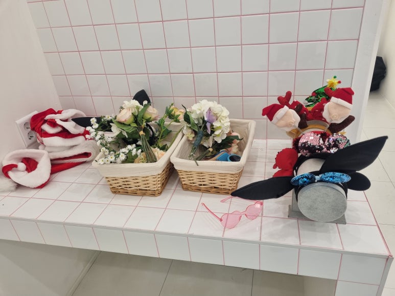 퐁퐁달리아 이미지