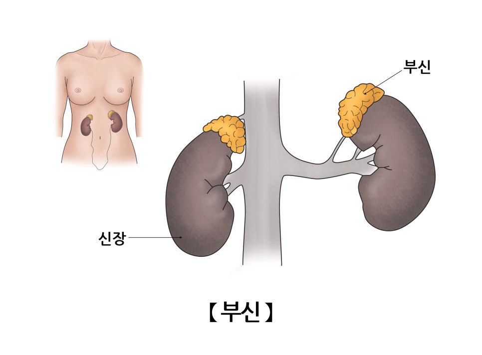 누리담한의원 이미지