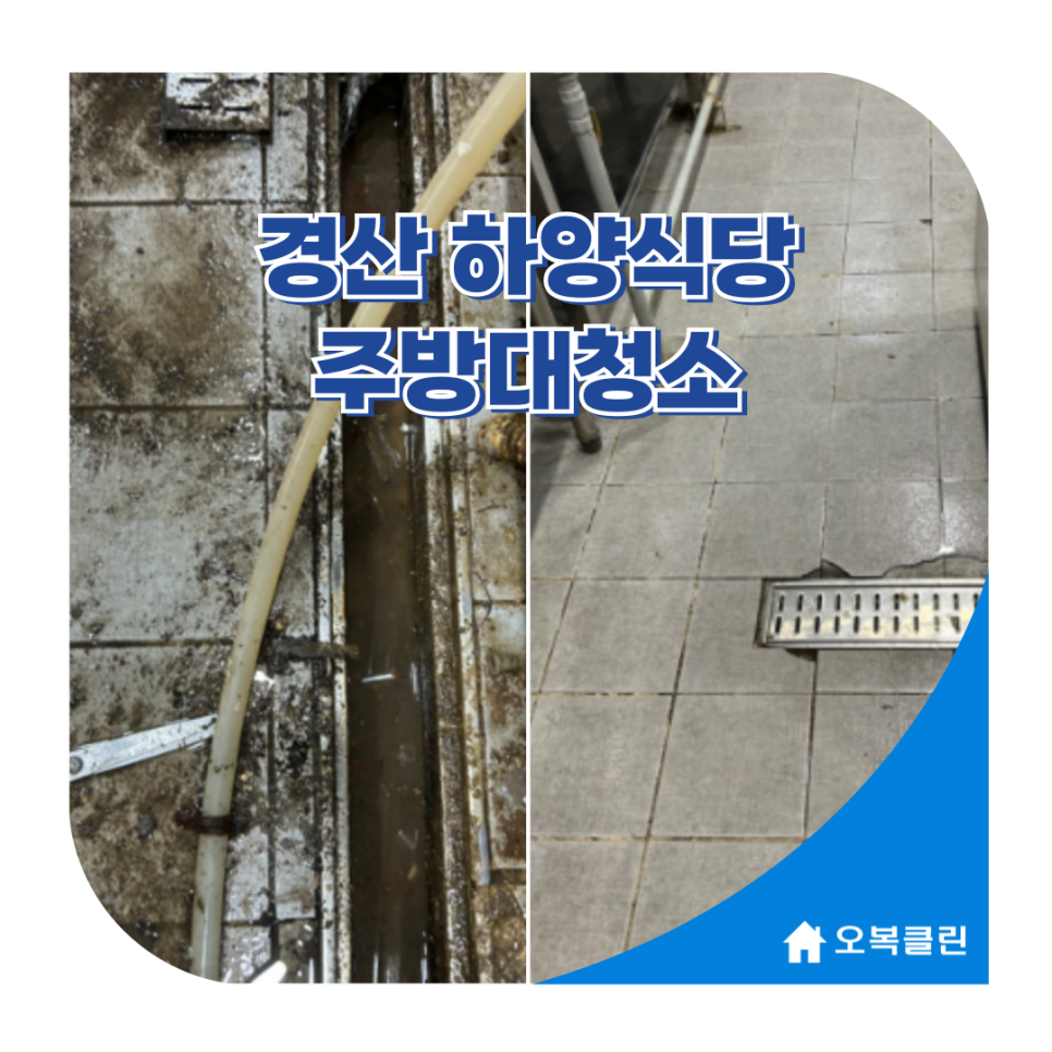 오복클린 이미지