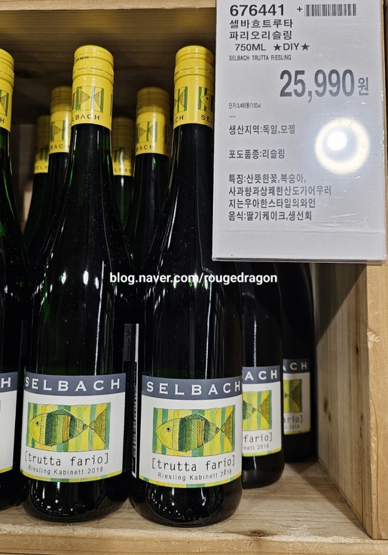 트루타 이미지