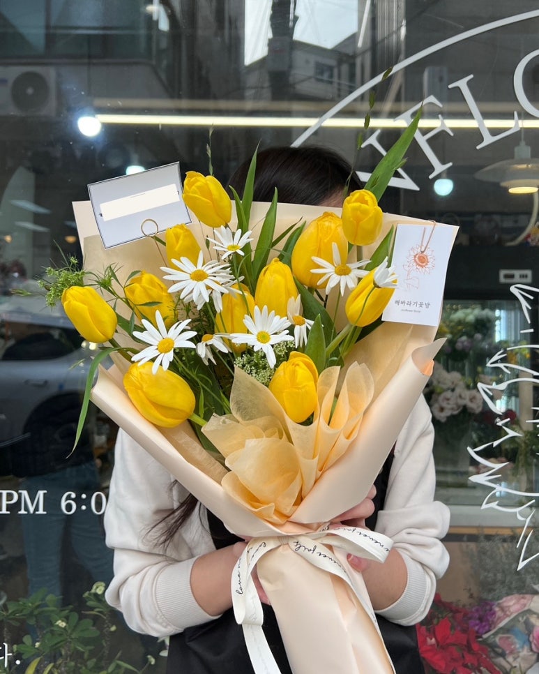 꽃방해바라기 이미지