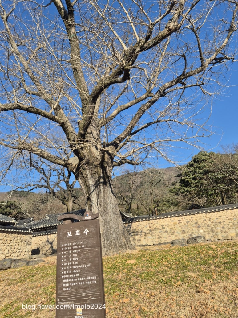 다올우리콩두부사랑 이미지