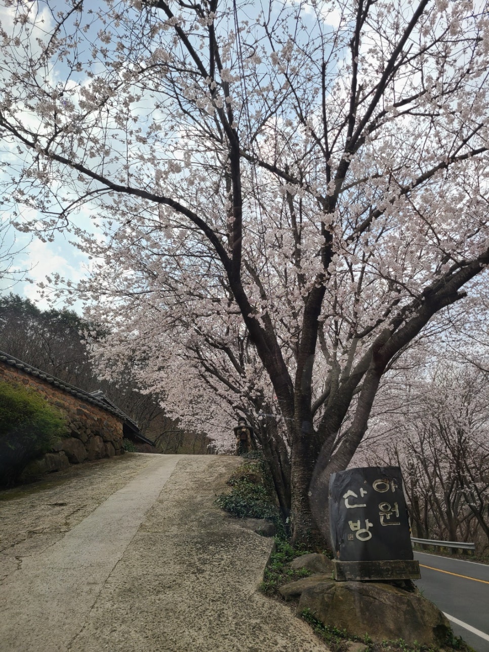 아원산방 이미지