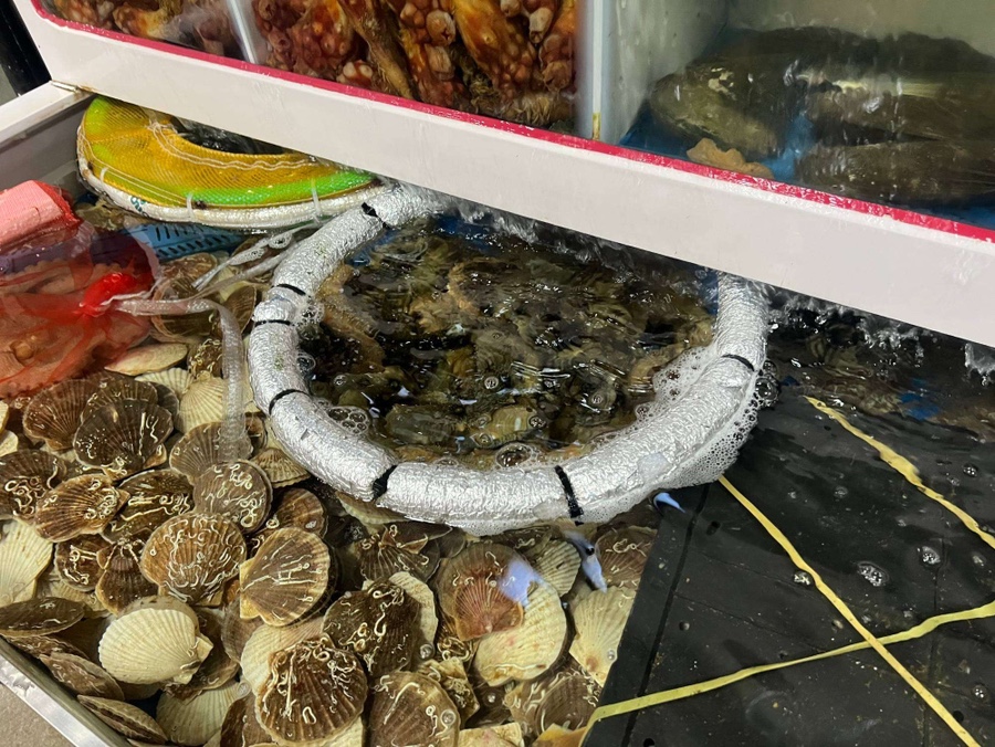 참치공주 이미지