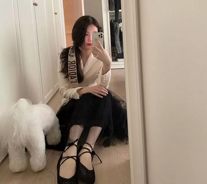 수지집 이미지