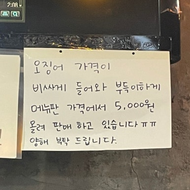 신가바늘산오징어 이미지