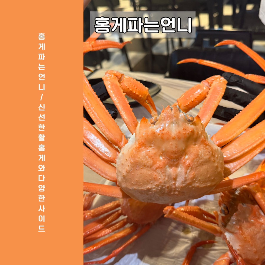 홍게파는언니 이미지