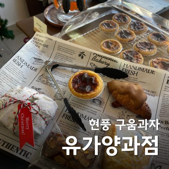 유가양과점 이미지