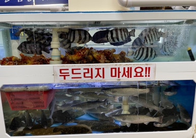 착한산곰장어 이미지