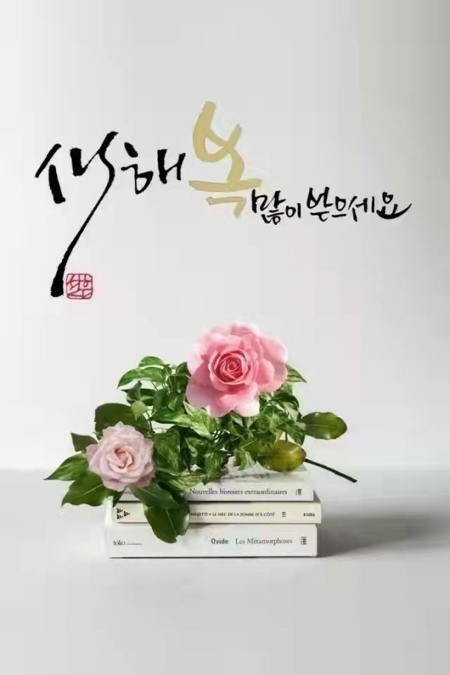 메타텐 이미지