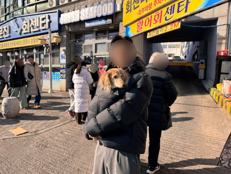 해미네집 이미지