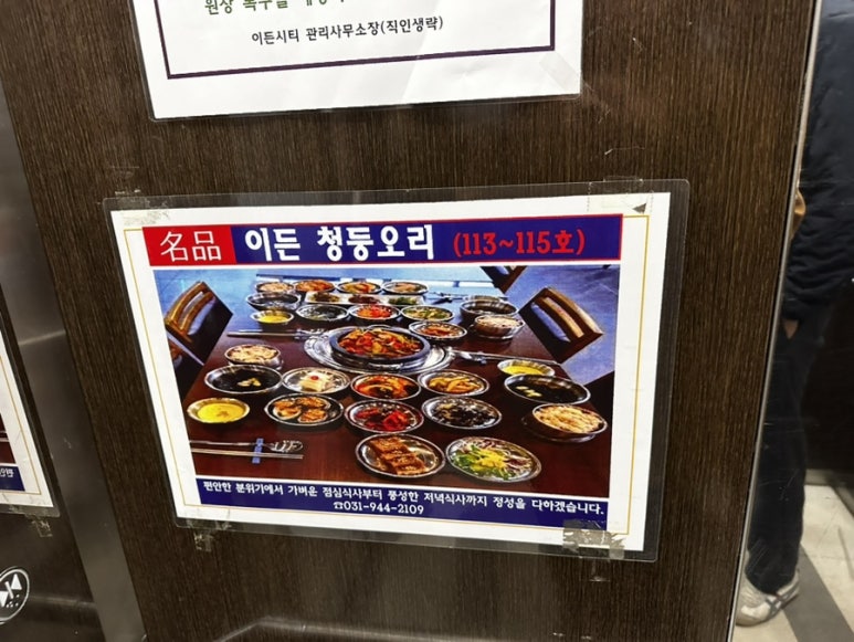 이든청둥오리 이미지