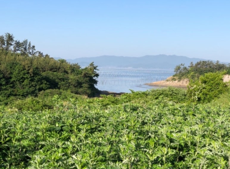 해남떡집 이미지