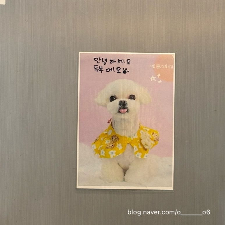 코키오 닭갈비 식사점 이미지
