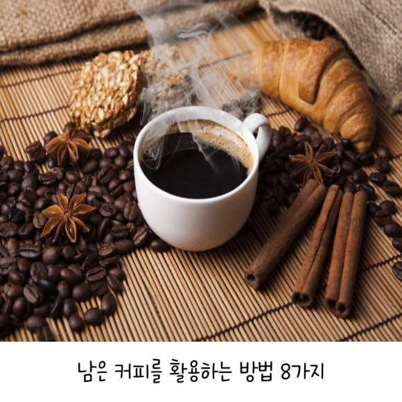 커피바라기 이미지