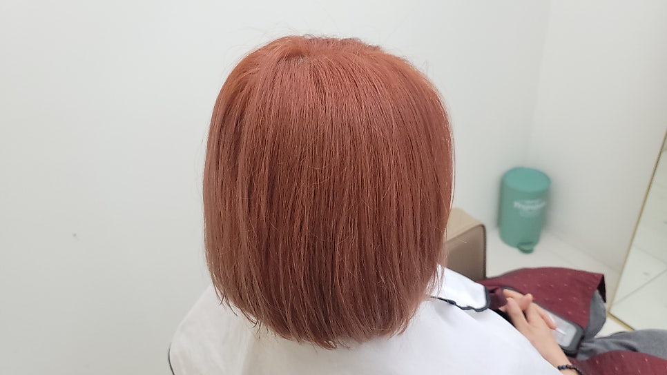 오렌지살롱 이미지