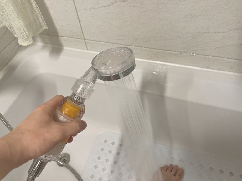 애플씨드 이미지